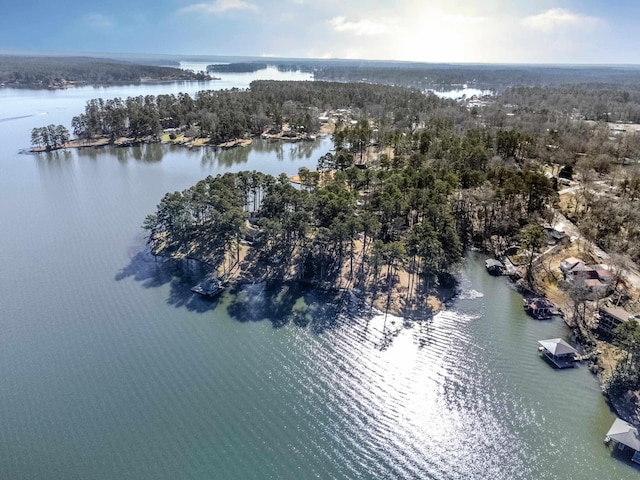 163 Knight Dr, Milledgeville, GA 31061 - aerial view of a nearby body of water
