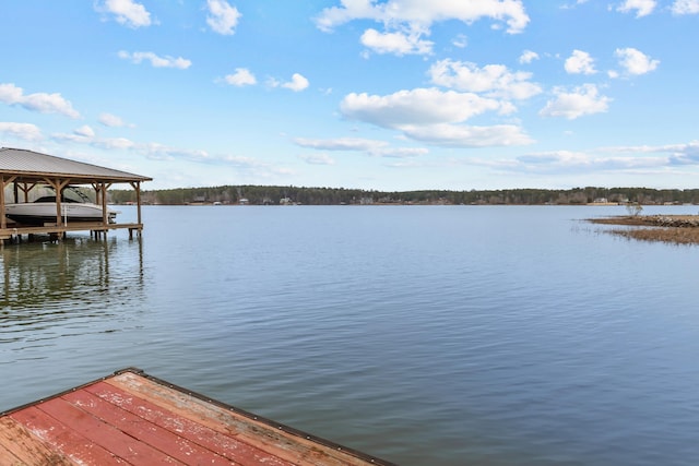 dock area with a water view