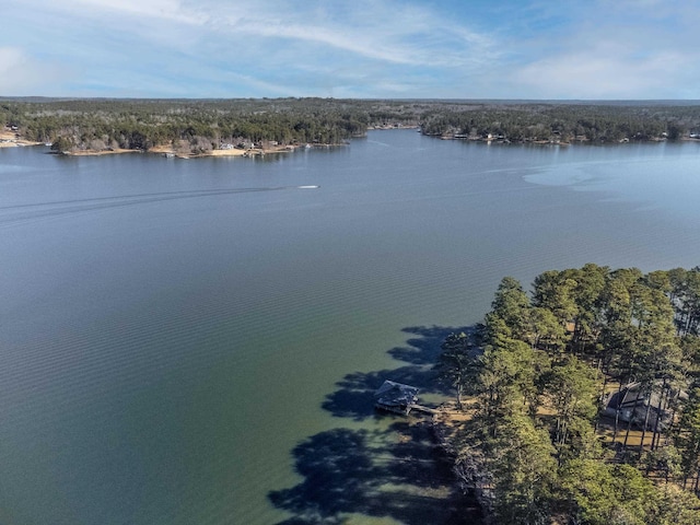 163 Knight Dr, Milledgeville, GA 31061 - water view featuring a forest