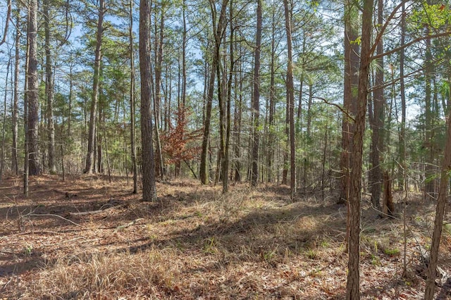1051 Shoulderbone Cir, Greensboro, GA 30642