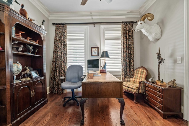 office space with ornamental molding, dark hardwood / wood-style floors, and ceiling fan