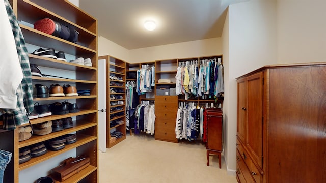 spacious closet featuring light colored carpet