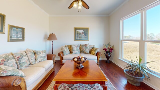 living room featuring ornamental molding, ceiling fan, and dark hardwood / wood-style flooring