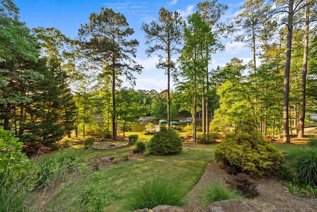 1611 Pine Grove Rd, Greensboro, GA 30642 - view of yard
