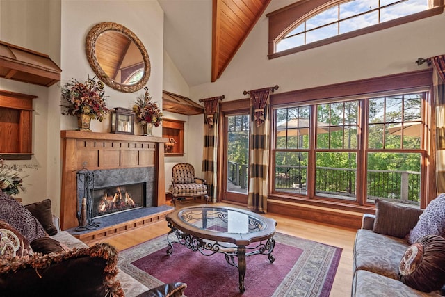 1611 Pine Grove Rd, Greensboro, GA 30642 - living room with a premium fireplace, a wealth of natural light, high vaulted ceiling, and light hardwood / wood-style flooring