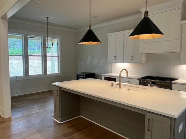 kitchen featuring decorative backsplash, crown molding, stainless steel stove, and a sink