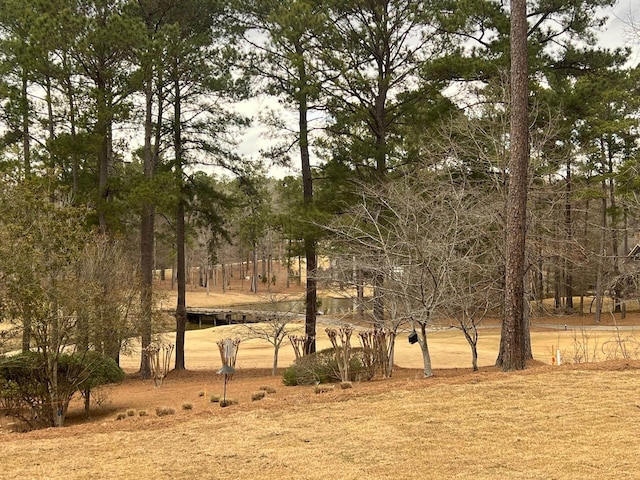 view of landscape