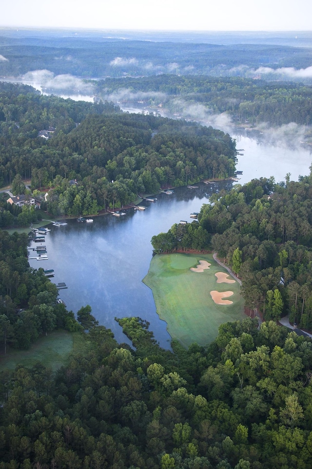 aerial view featuring a forest view and a water view