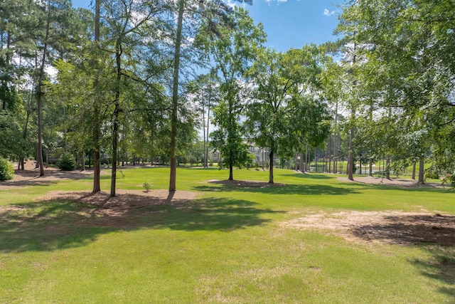 1321 Swift Crk, Greensboro, GA 30642 - photo 37