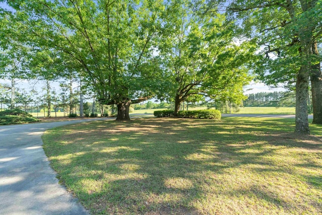 2941 Little River Rd, Madison, GA 30650 - photo 3