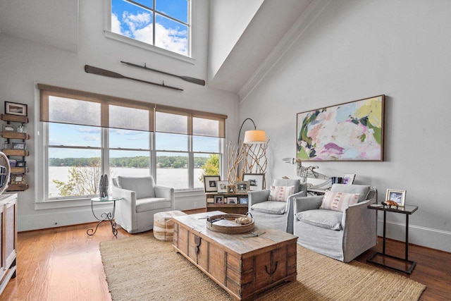 living room with light hardwood / wood-style floors and a high ceiling