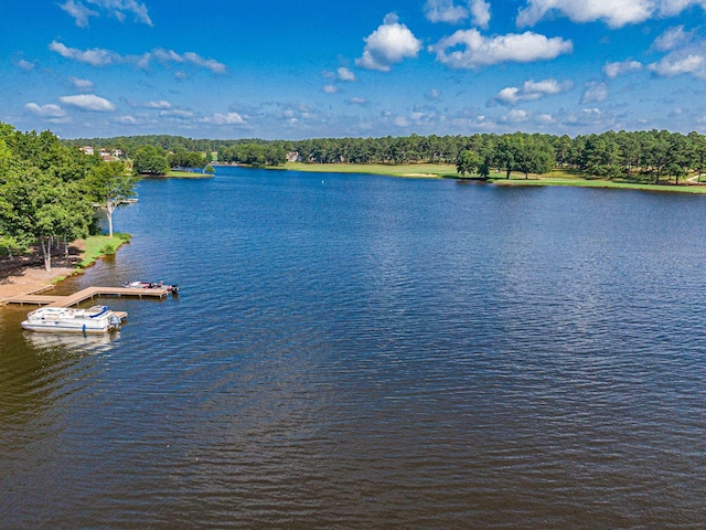 view of water feature with a dock