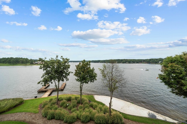 property view of water with a dock