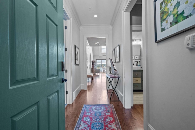 corridor featuring crown molding and dark hardwood / wood-style flooring