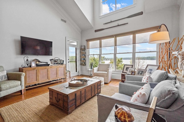 living room featuring high vaulted ceiling and light wood-type flooring