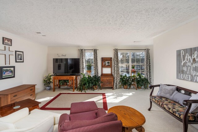 carpeted living room featuring ornamental molding and a textured ceiling