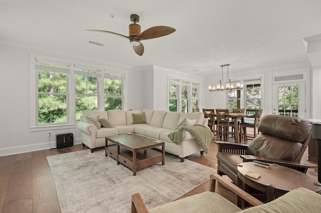 living room with ceiling fan with notable chandelier, ornamental molding, and hardwood / wood-style floors