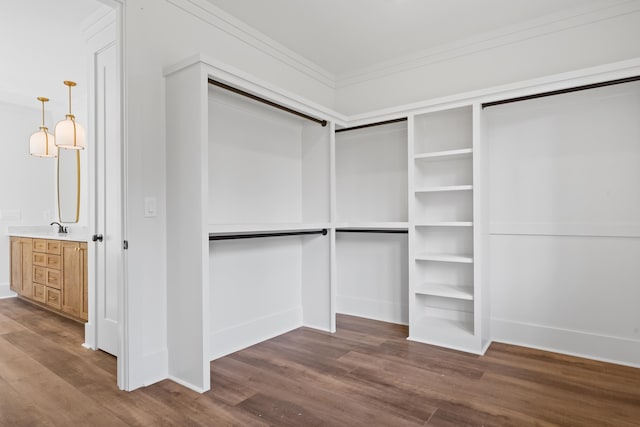 spacious closet with sink and hardwood / wood-style flooring