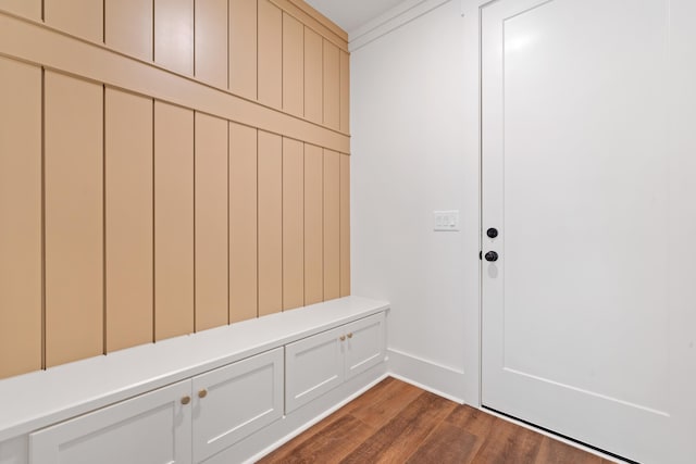 mudroom featuring dark wood-type flooring