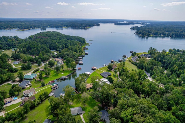 drone / aerial view with a water view and a view of trees