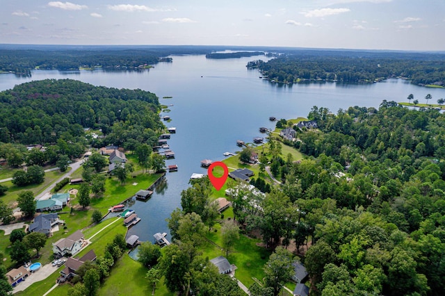 aerial view with a water view and a view of trees