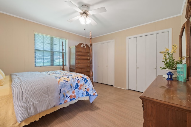 bedroom with crown molding, multiple closets, light wood finished floors, and ceiling fan