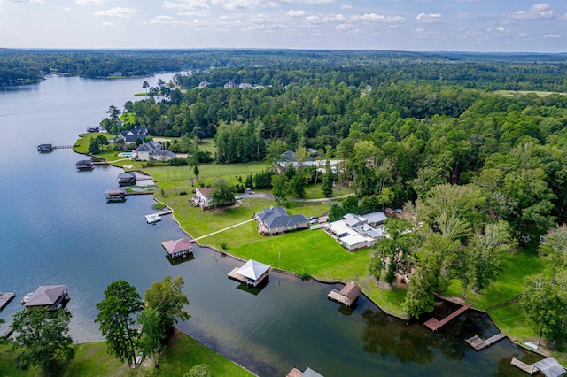 bird's eye view featuring a water view and a view of trees