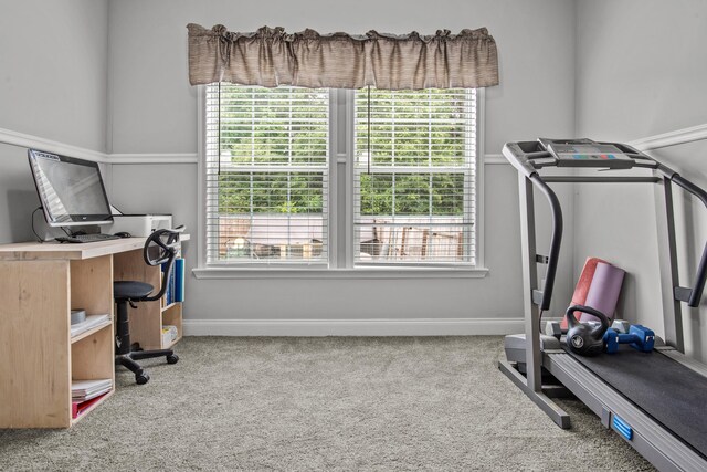 1259 Flat Rock Church Rd, White Plains, GA 30678 - photo 30