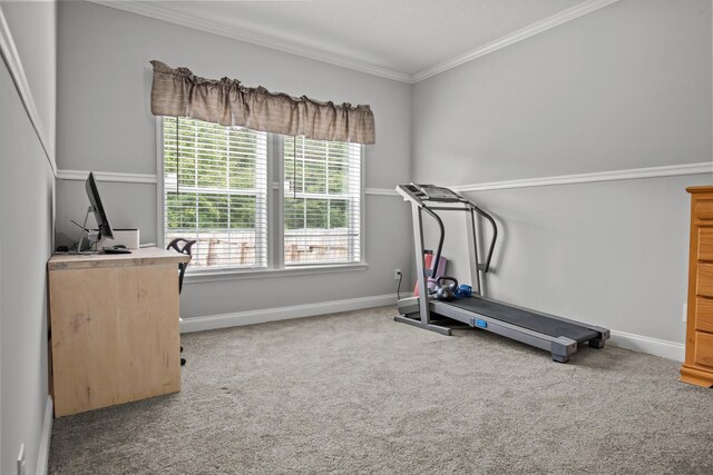 1259 Flat Rock Church Rd, White Plains, GA 30678 - photo 29
