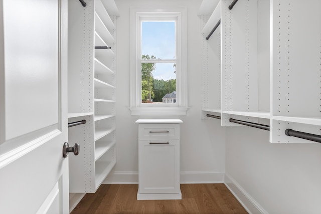 spacious closet featuring dark hardwood / wood-style flooring