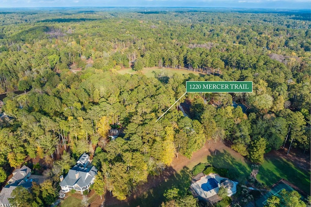 drone / aerial view