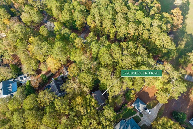 drone / aerial view