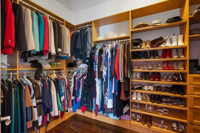 spacious closet with wood finished floors