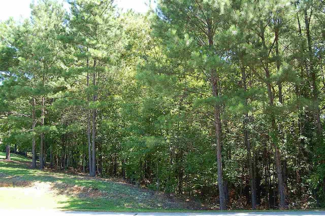 Listing photo 3 for 1460 Pullman Ln, Greensboro GA 30642