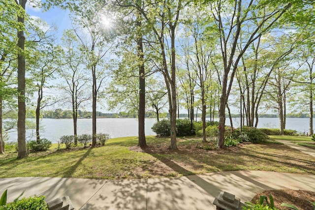 property view of water