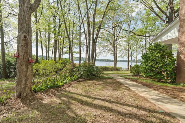 view of yard featuring a water view