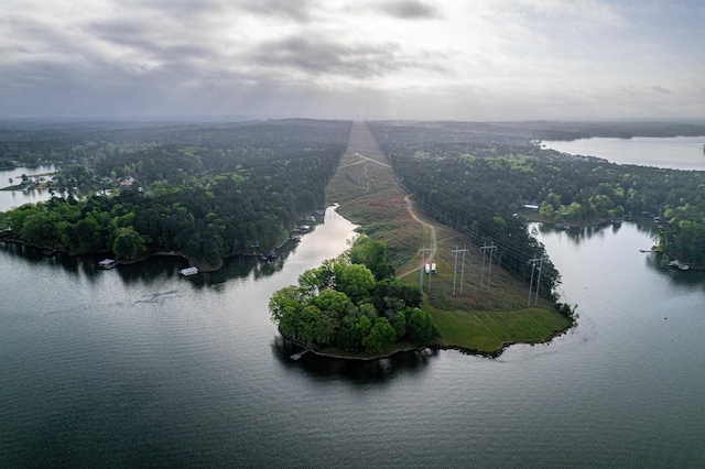 drone / aerial view with a water view and a wooded view