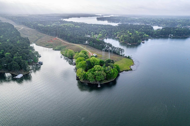 birds eye view of property with a water view and a view of trees