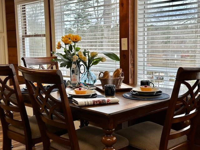 dining area with a wealth of natural light