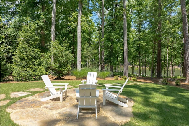 view of grassy yard with a patio