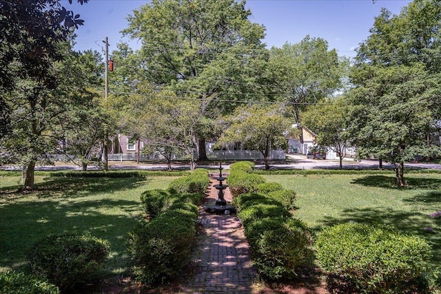 view of home's community with a yard