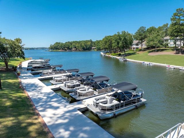 dock area with a water view