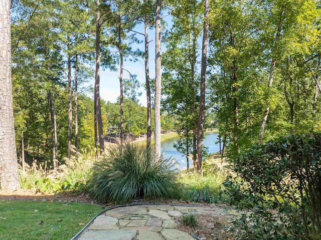 view of yard featuring a water view