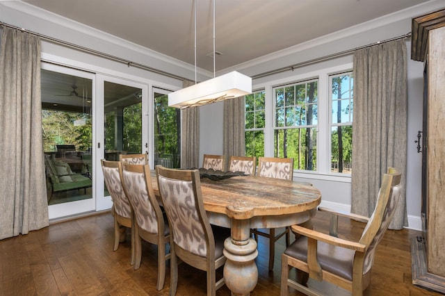 dining room with crown molding and dark hardwood / wood-style flooring