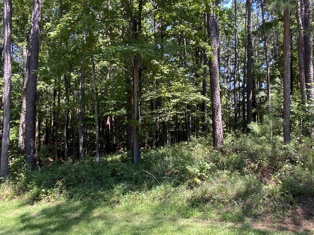 1101 Anchor Bay Cir, Greensboro, GA 30642