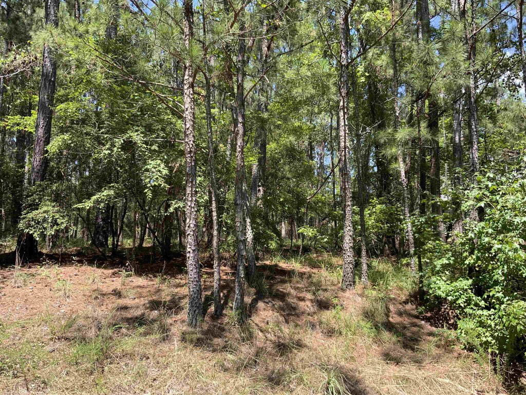 1101 Anchor Bay Cir, Greensboro, GA 30642