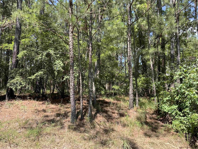 1101 Anchor Bay Cir, Greensboro, GA 30642