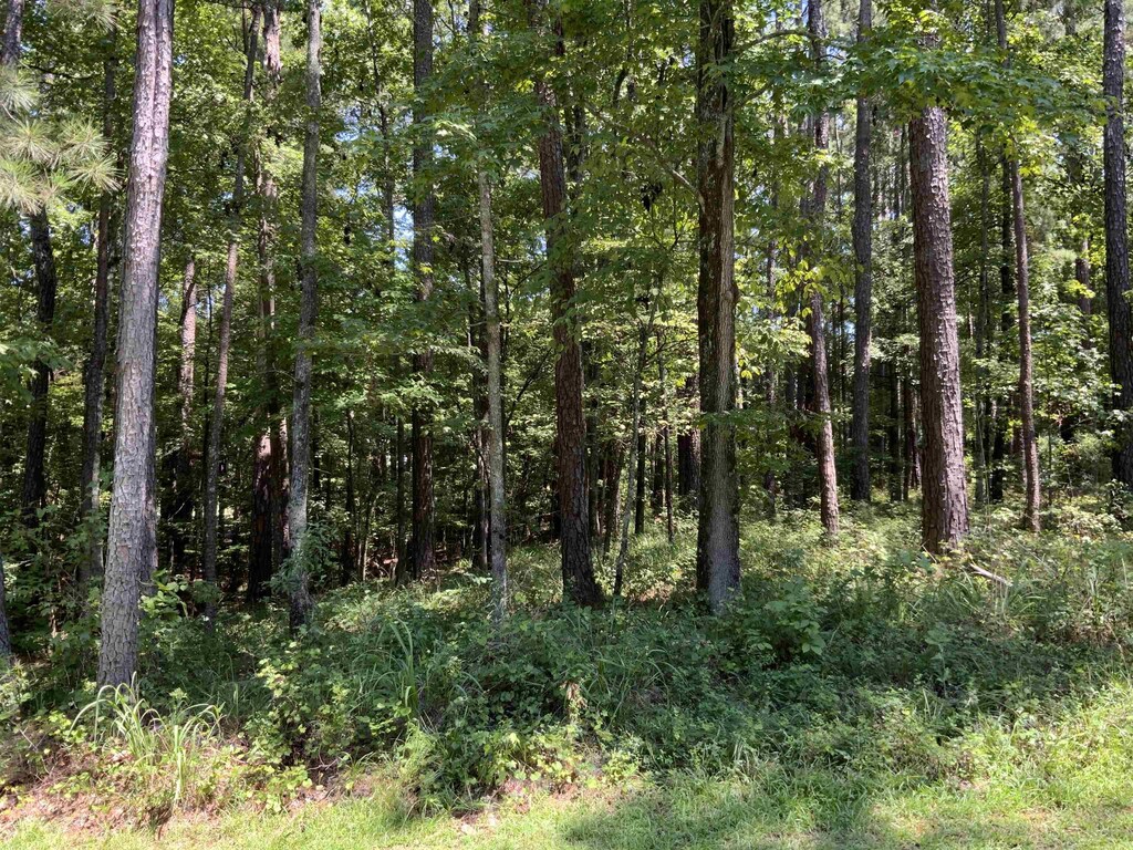 1101 Anchor Bay Cir, Greensboro, GA 30642