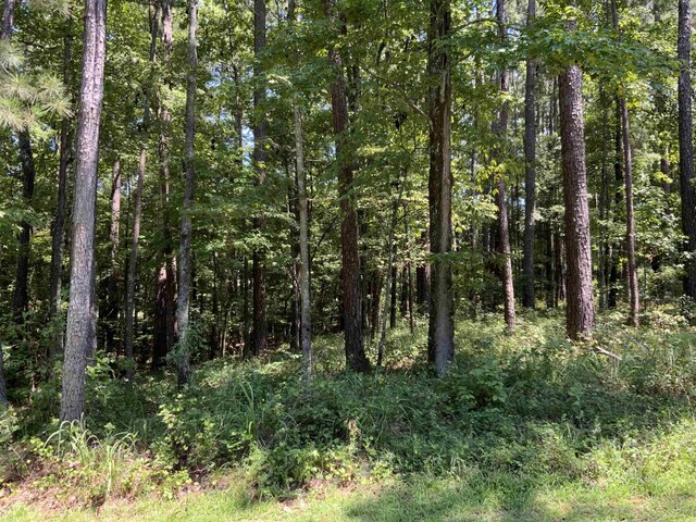 1101 Anchor Bay Cir, Greensboro, GA 30642