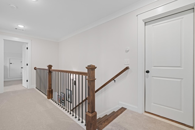 stairway featuring ornamental molding and carpet floors